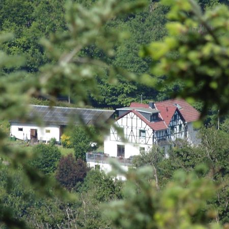 Ferienwohnung Schaefer Waldbreitbach ภายนอก รูปภาพ