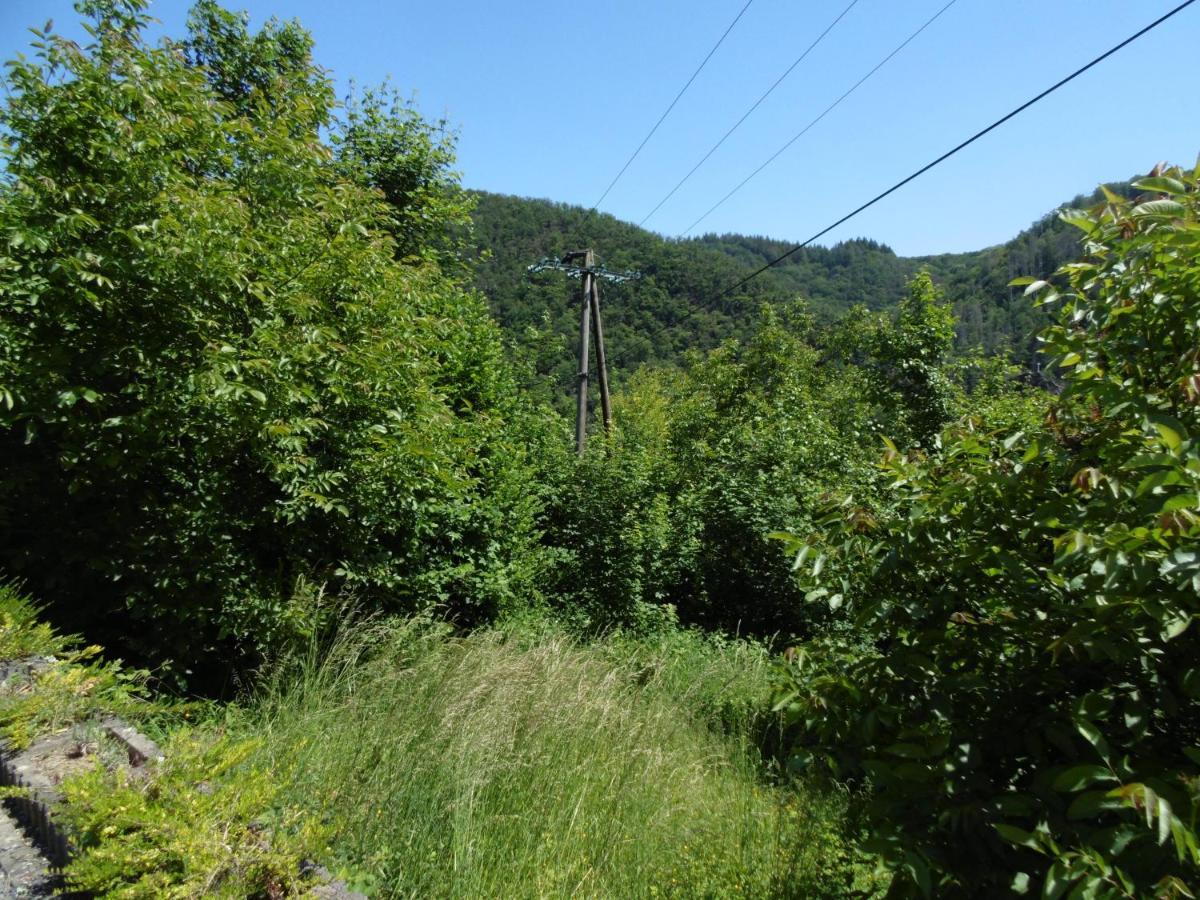 Ferienwohnung Schaefer Waldbreitbach ภายนอก รูปภาพ