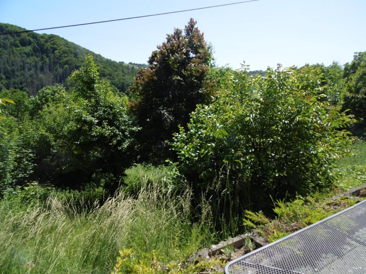 Ferienwohnung Schaefer Waldbreitbach ภายนอก รูปภาพ
