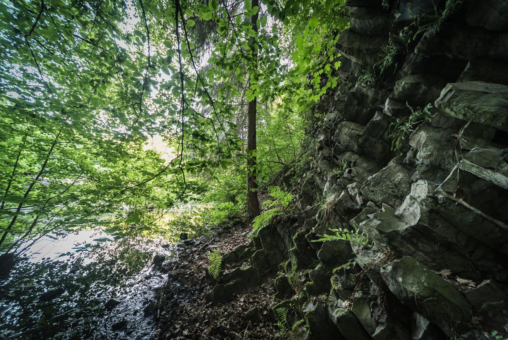 Ferienwohnung Schaefer Waldbreitbach ภายนอก รูปภาพ